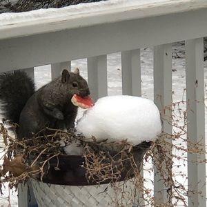 Meet your Posher, Jayne